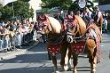 IMG_5897