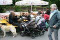 IMG_6142