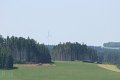 IMG_4955