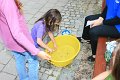 IMG_6734