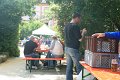 IMG_6788