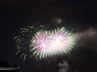 IMG 3976