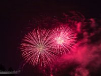IMG 3986
