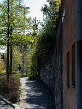 _MG_3291.jpg