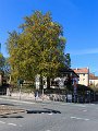 _MG_3303.jpg