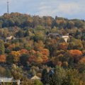 _MG_1897.jpg