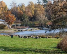 03. November 2024 Teil 3