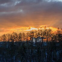 _MG_4390