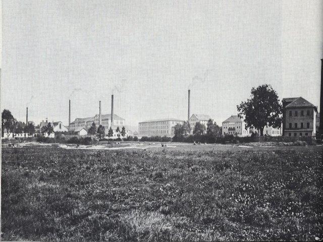 009.jpg