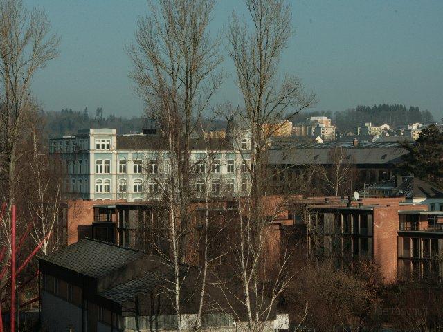 014.JPG