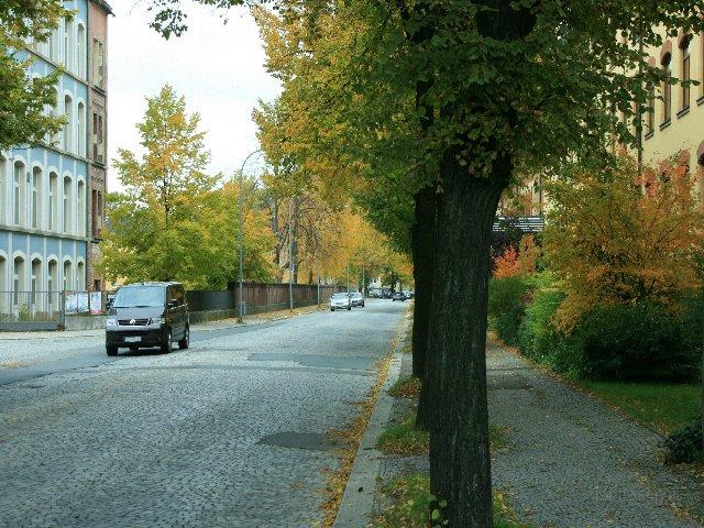 027.jpg